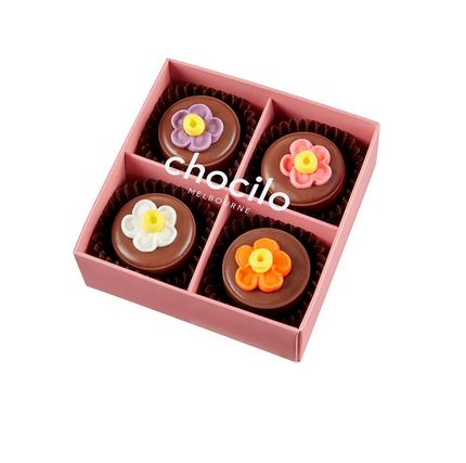 Chocilo - 4 pack flower pots